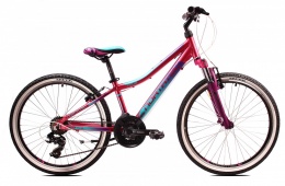 NORTHTEC RAIDO 24